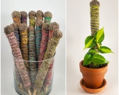 Extra Small Mini 12 quot Spanish Moss Poles for Plants -Customize Color- Plant Support Stake-Accessory-Plant Pole-Party Favors- Gift-Free Pins