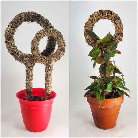 Custom Circle Trellis for PlantsSpanish Moss Pole Climbing Etsy