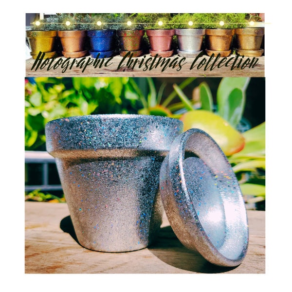 3" 4" 6" 8"  Plant Pot, Succulent Pot, Houseplant Pot, Holographic Pottery, Flower Pot, Houseplant Gift, Silver Pot, Christmas Silver Decor