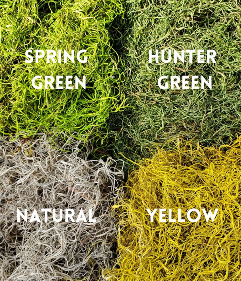 Mini Moss Pole Spanish Moss Pole Plant Support Stake Party Etsy