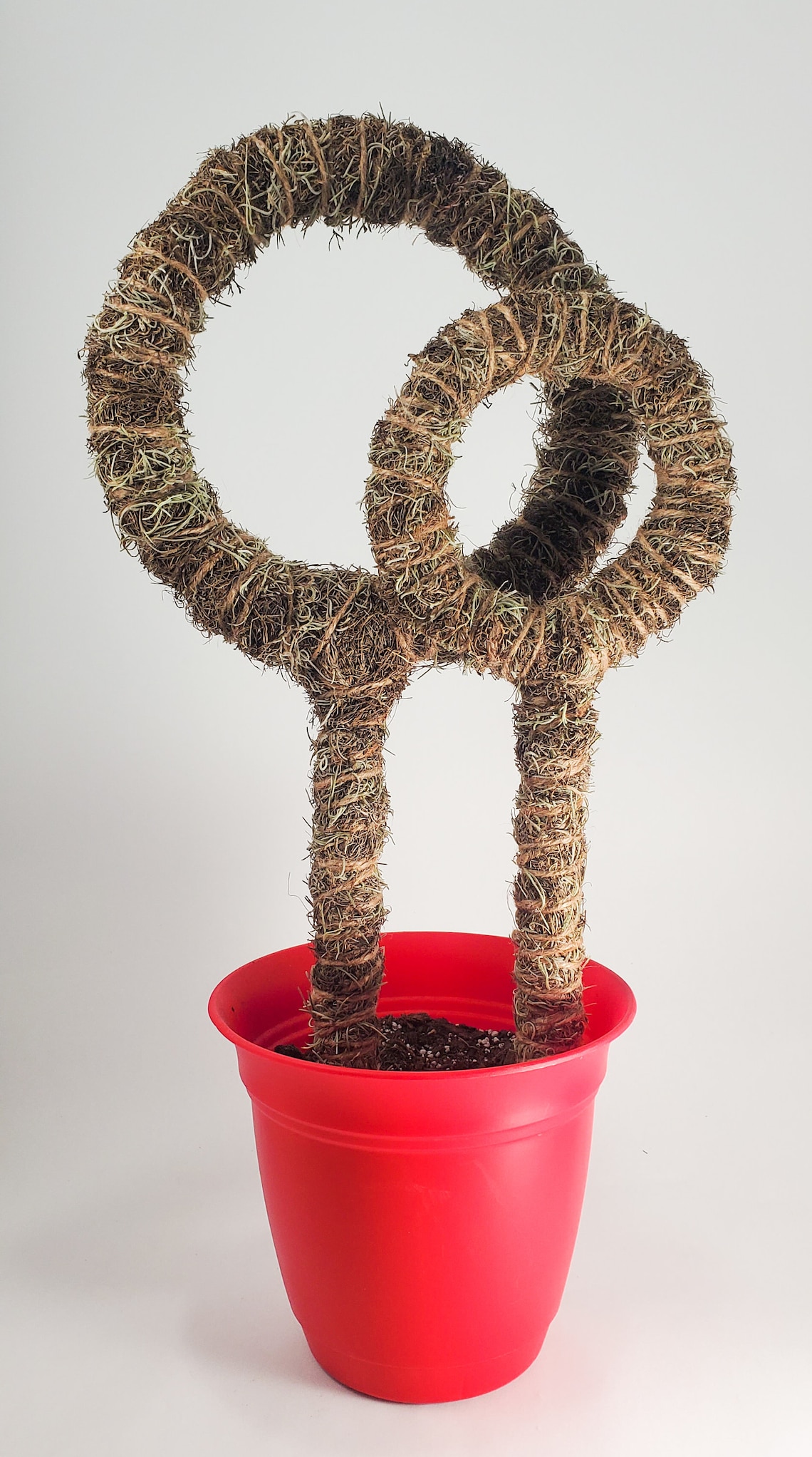 Custom Circle Trellis for PlantsSpanish Moss Pole Climbing Etsy