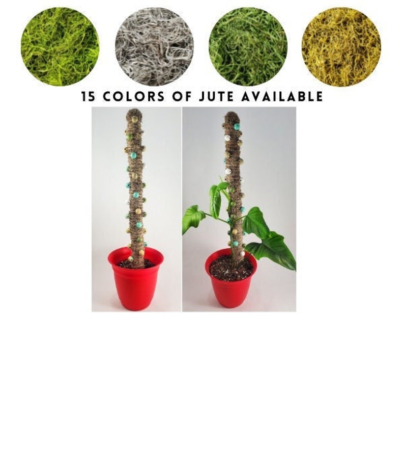 Blue Beads Spanish Moss Pole Moss Pole for Monstera Plant Etsy