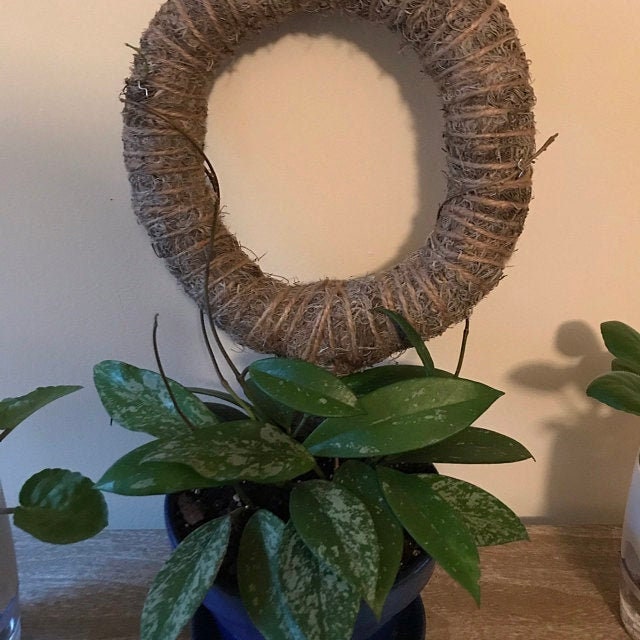 Custom Circle Trellis for PlantsSpanish Moss Pole Climbing Etsy