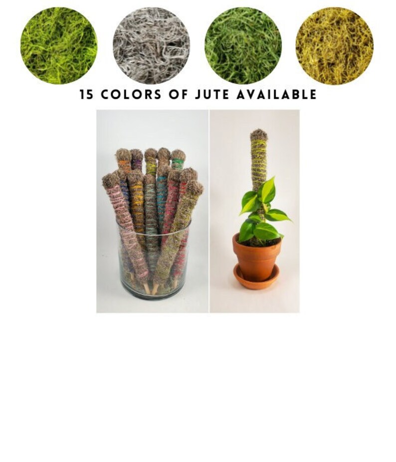 Mini Moss Pole Spanish Moss Pole Plant Support Stake Party Etsy