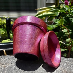 3" 4" 6" 8" 10" Plant Pot, Succulent Pot, Houseplant Pot, Holographic Pot, Flower Pot, Plant Gift, Hot Pink Pot, Pot with Saucer, Pink Decor