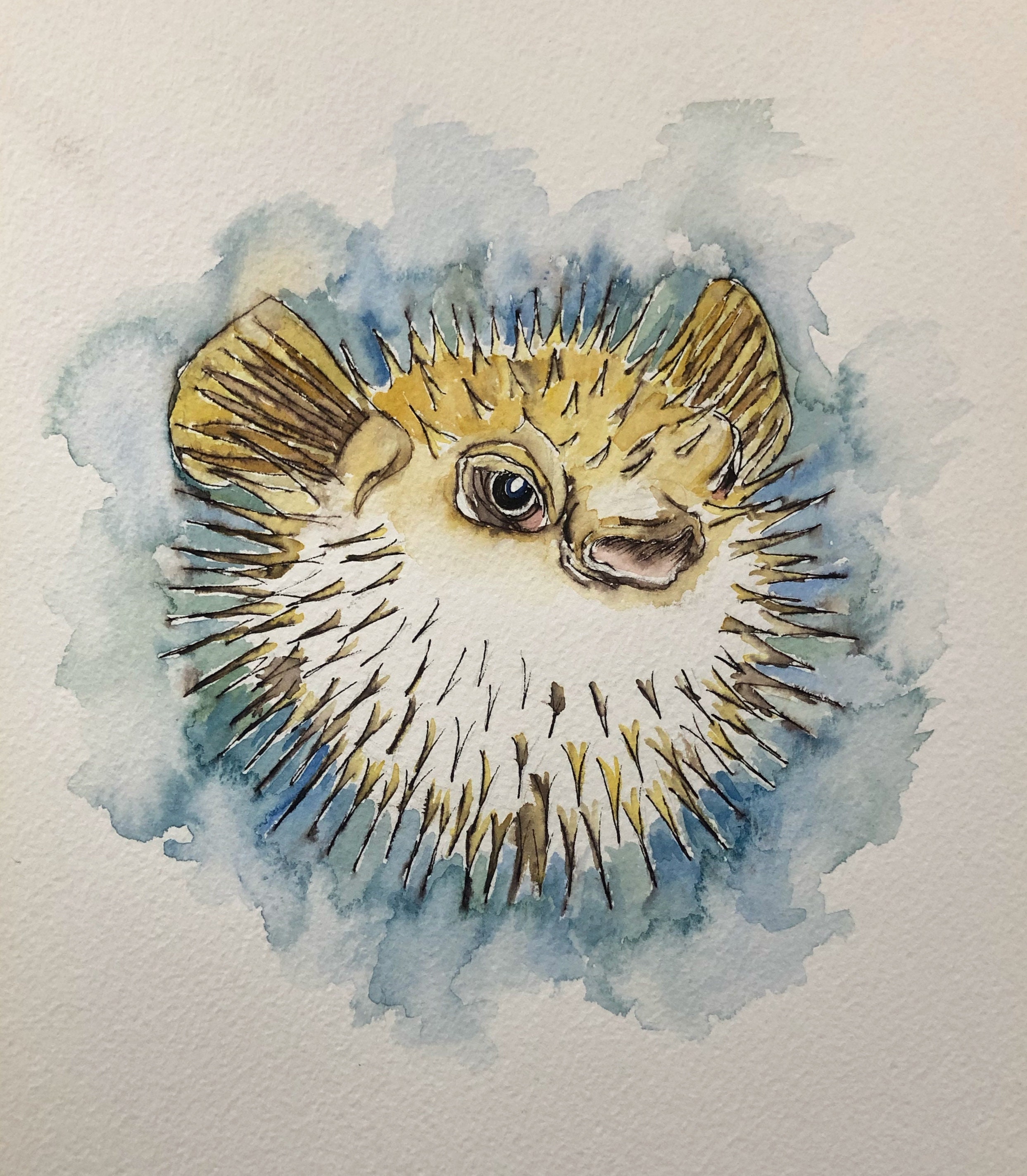 Watercolour Puffer Fish Original Art Watercolour and Ink Etsy