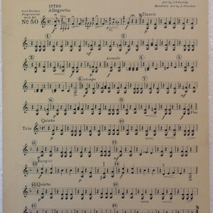 The Philharmonic Orchestra Series circa 1920 image 4