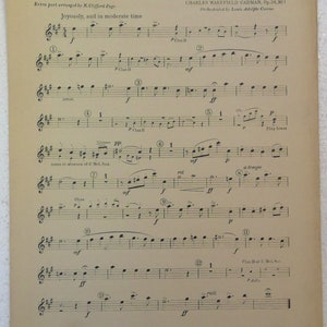 The Philharmonic Orchestra Series circa 1920 image 6