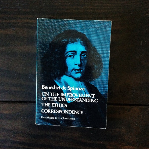 Spinoza Descartes Hegel Popper Habermas Eco Collection - 10 Books to Choose From - Philosophy of History Theory Semiotics Reflections Maxims