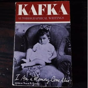 Colección Franz Kafka (A) - Juicio Colonia Penal América Cartas a Milena Representante Hombre Pesadilla de la Razón Soy un Recuerdo que Cobra Vida