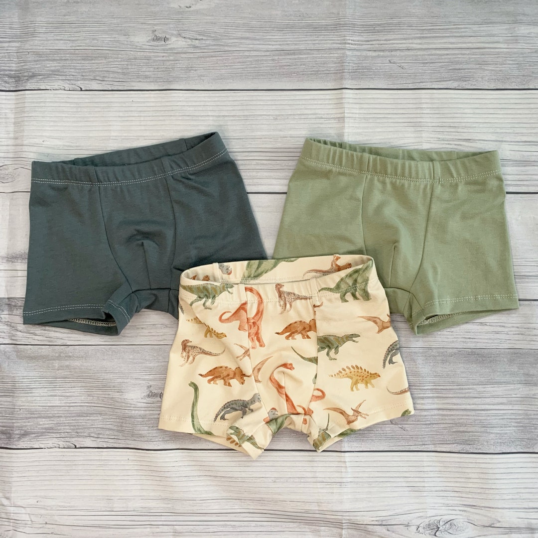 Organic Cotton Boxer Briefs With Dinosaurs Handmade Baby Etsy