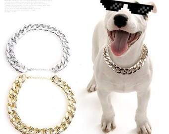 small gold dog collar