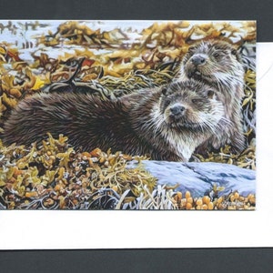 Otter Greetings Card / Wildlife Card / Otter Art / Animal Artwork / Blank Greetings Card / Charity Card