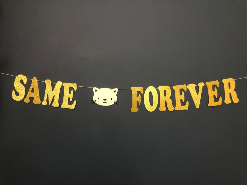 lgbtq Same Kitty Forever CUSTOM color glitter banner bachelorette bachelor bach pussy