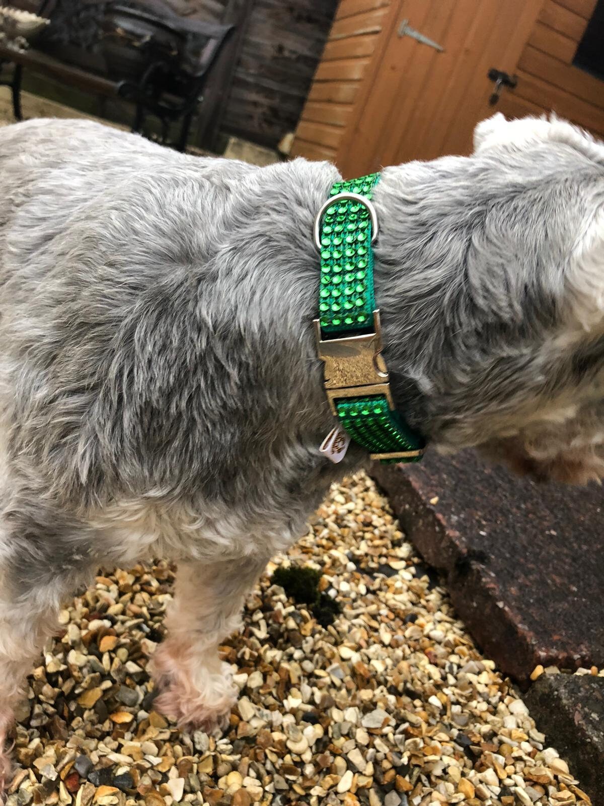 Washable Diamanté Dog Collars 2 1/2 cm Etsy