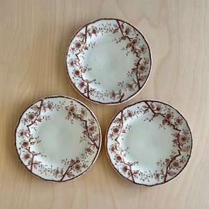 Op de afbeelding: Drie witte keramische borden met een bruin bloemenontwerp. De borden hebben een gegolfde rand en zijn perfect om desserts of hapjes op te serveren.