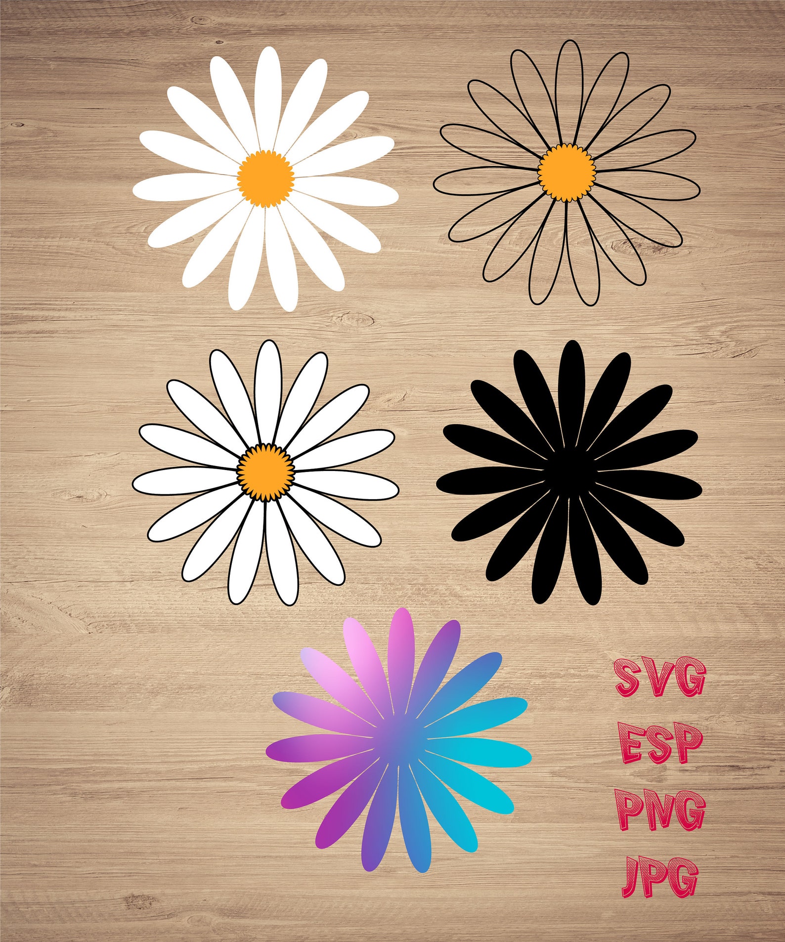 Daisy SVG Bundle Daisy Split Name Frame SVG Flower SVG | Etsy
