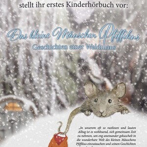 NEU Kinderhörbuch Das kleine Mäuschen Pfiffikus Winter. Geschichten einer Waldmaus. Wald Freundschaft Weihnachten Tiere Bild 5