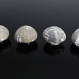 May include: Four small, rounded, grey stones with white markings are arranged in a row. The stones have a rough texture and varying shades of grey. The background is a dark, reflective surface.