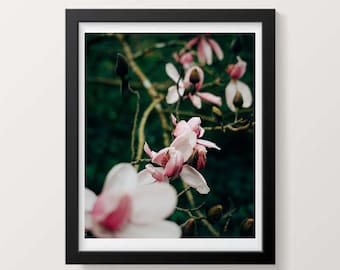 Pink Orchids Photography Print, Flower Photography, Wall Art Print, Flower and Nature Print, Nature Photography, Nature Print, Floral Print