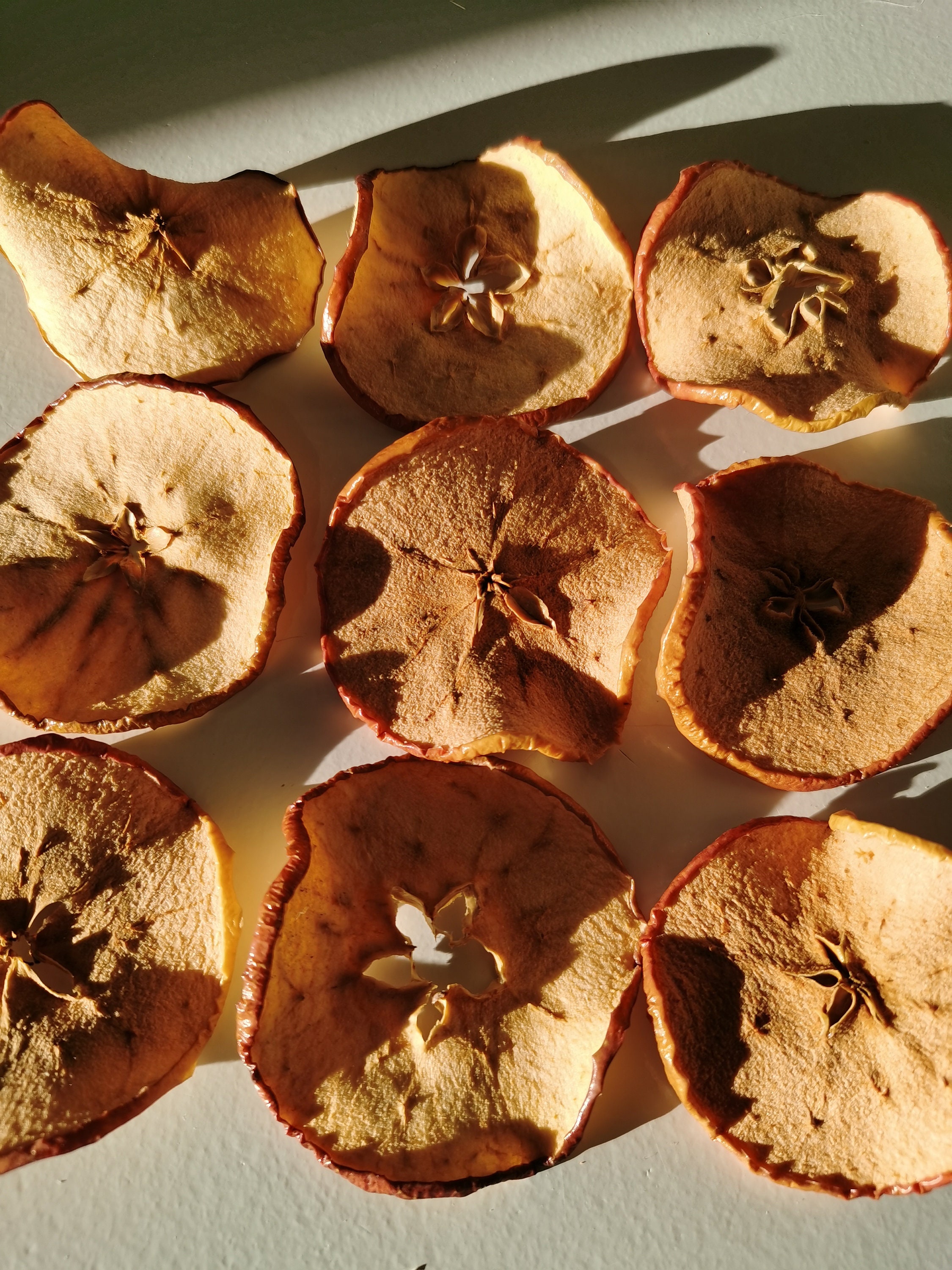 15 Dried Apples slice Dehydrated Apples Slices Dried Fruit Etsy