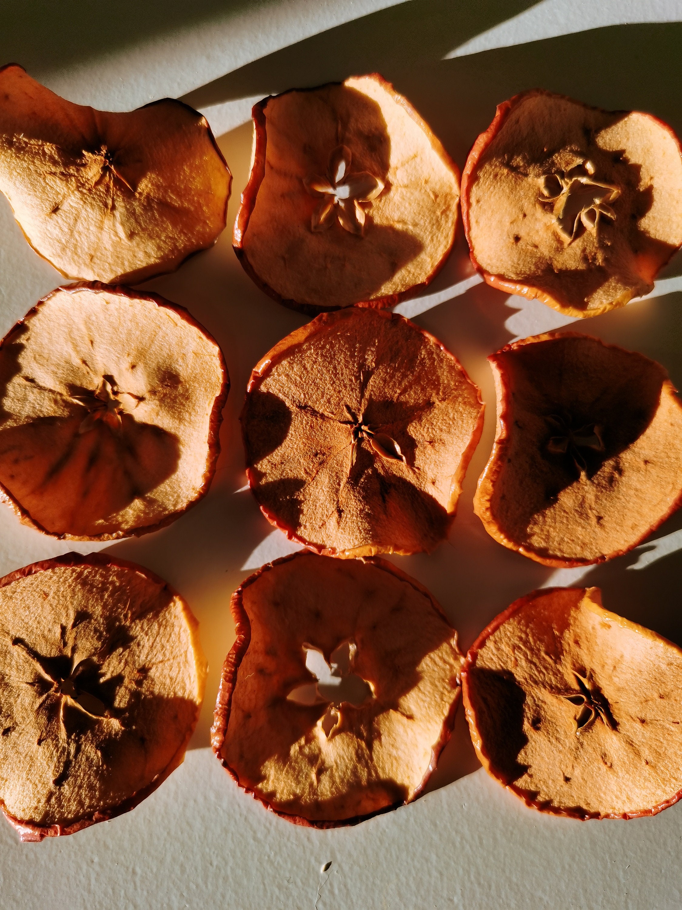 15 Dried Apples slice Dehydrated Apples Slices Dried Fruit Etsy