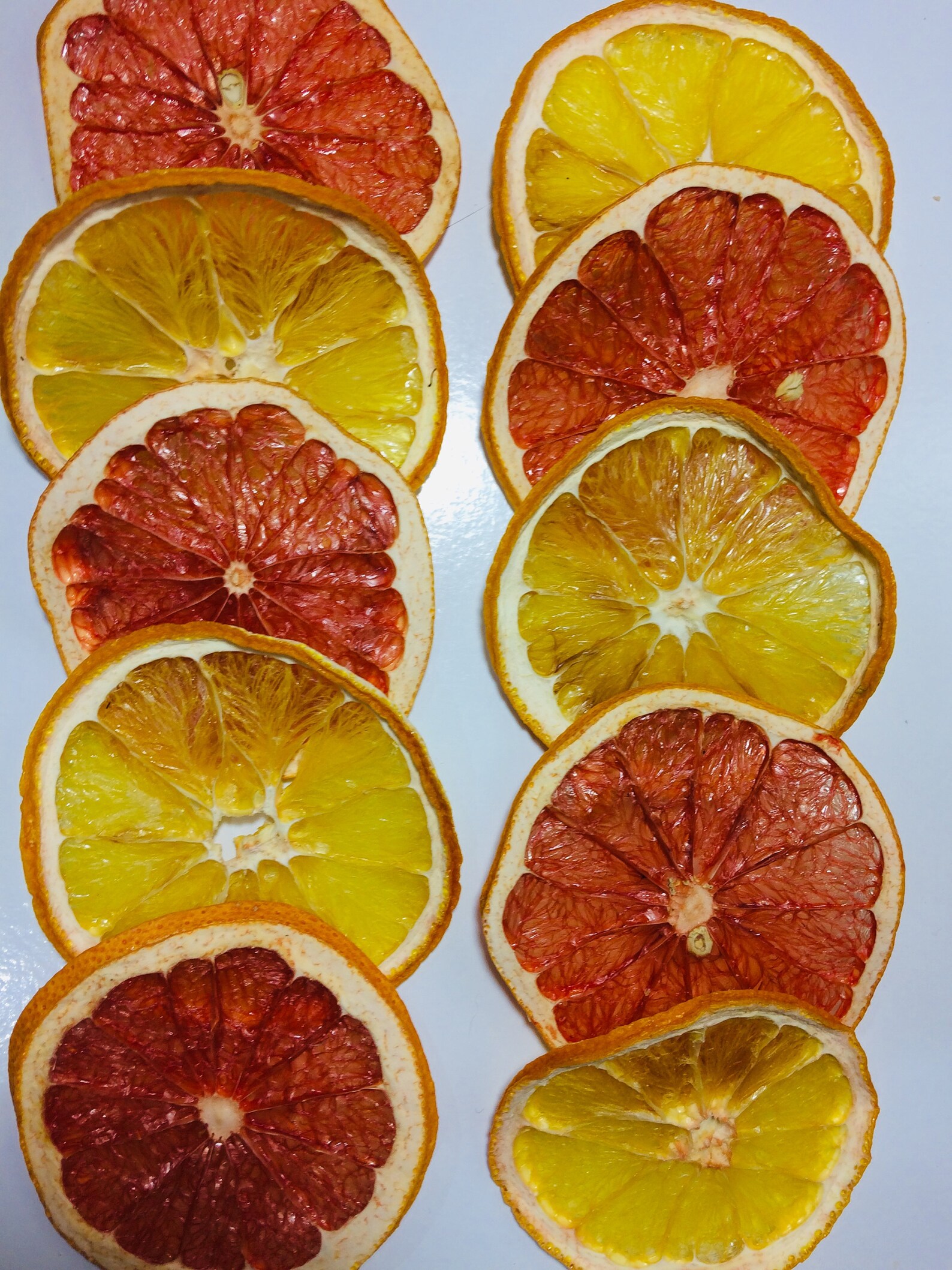 10 Dehydrated orange grapefruit slices Dried orange Etsy