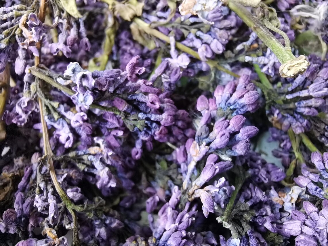 Whole lilac flowers Dried Organic Natural Lilac flower Etsy