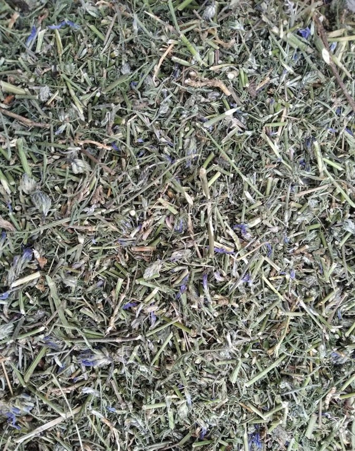 Dried Astragalus Herb Organic 1oz32oz Astragalus Etsy