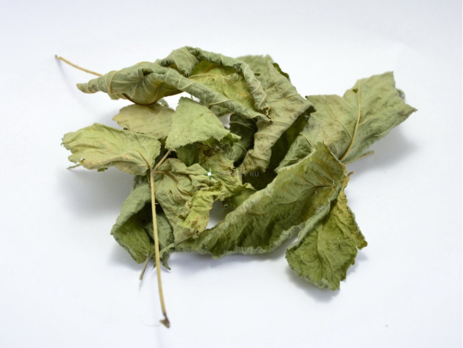 Organic Blackberry leaf dried Rubus subgen leaf Etsy