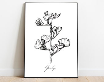 Ginkgo Plant Drawing - High Quality ART PRINT - by Carson Robertson - Original Art, Gift, Wall Decor, Wall Art - Botanical Etching