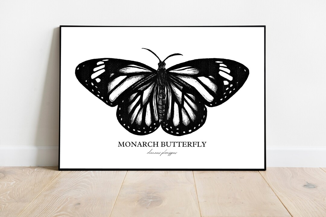 Monarch Butterfly Etching High Quality ART PRINT by Carson Robertson Original Art, Gift, Wall