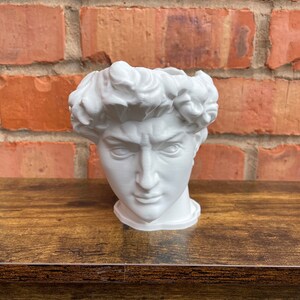 May include: White ceramic planter shaped like a bust of a man with a crown of leaves. The planter is sitting on a wooden surface.