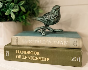Decorative Books | Books by Color | Build Your Own Book Stack | Book Bundle | Farmhouse Decor | Vintage Books | Neutral Color Books | Green