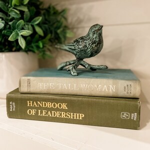 Decorative Books | Books by Color | Build Your Own Book Stack | Book Bundle | Farmhouse Decor | Vintage Books | Neutral Color Books | Green