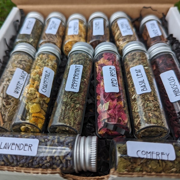 Modern Witch Apothecary Set | 14 Herbs | Beginner Witch Kit | Apothecary Starter Kit