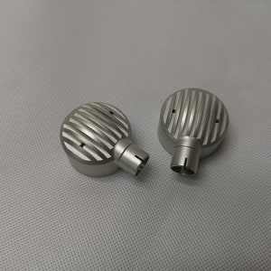 May include: Two silver metal earbud tips with a ridged design and small holes.