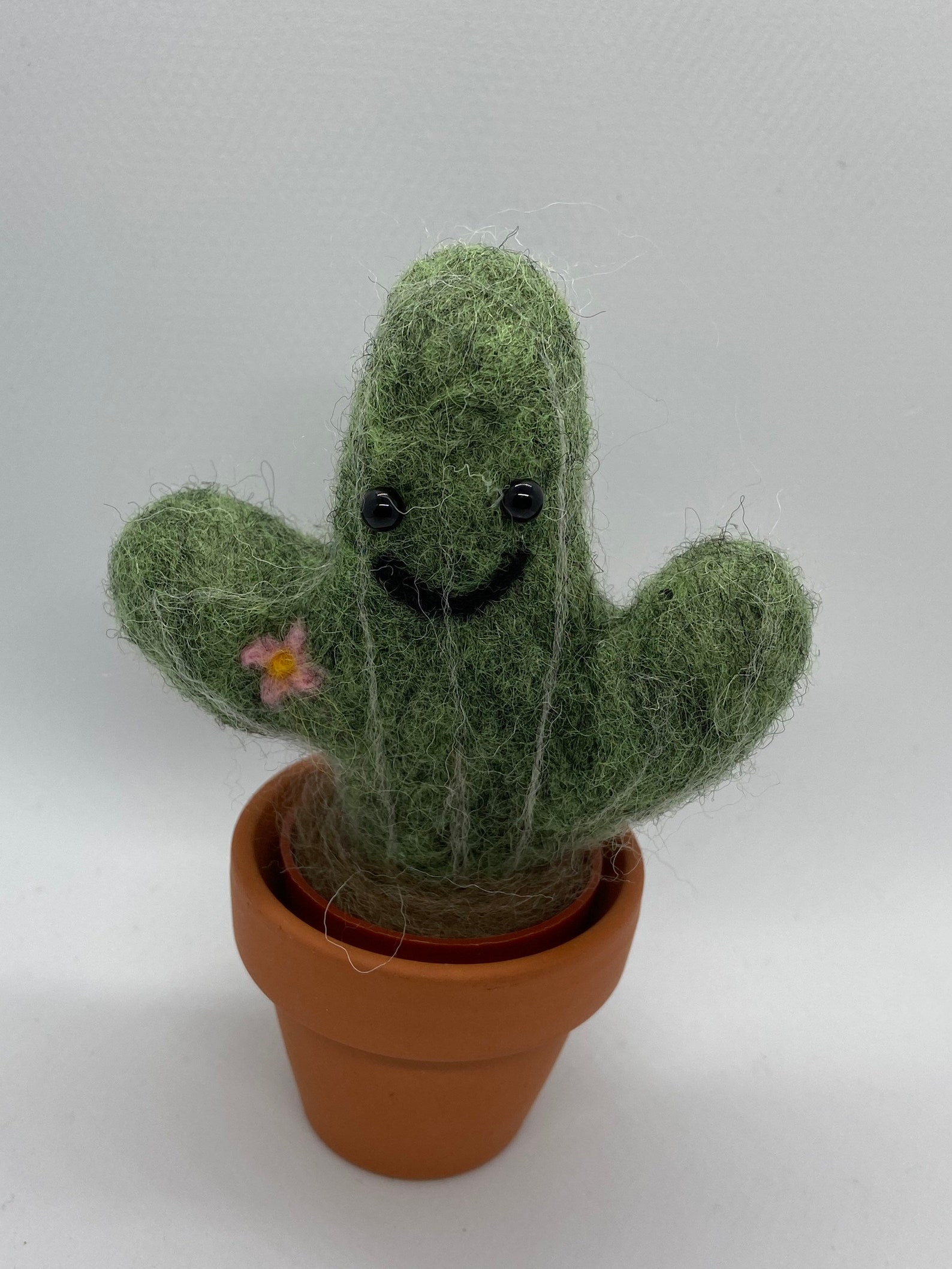 Needle Felted Cactus Etsy
