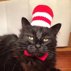 Dr. Seuss, Seuss, Hats for Cats, Cat Costumes, Pet Costumes, Cat Hat, Cat Accessories, Cats, Cat Photo Prop, Crocheted
