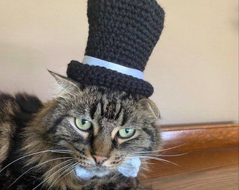 Groom Hat, Top Hat, Wedding, Hats for Cats, Cat Costumes, Pet Costumes, Cat Hat, Cat Accessories, Cats, Cat Photo Prop, Crocheted Cat Hat