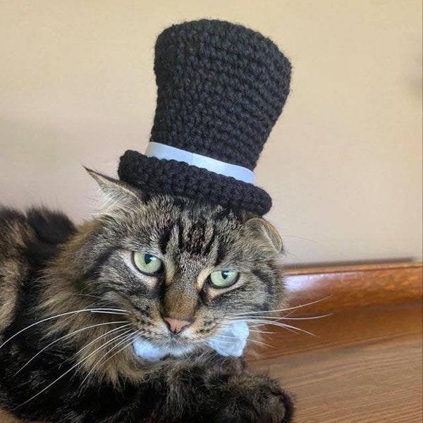 Groom Hat, Top Hat, Wedding, Hats for Cats, Cat Costumes, Pet Costumes, Cat Hat, Cat Accessories, Cats, Cat Photo Prop, Crocheted Cat Hat