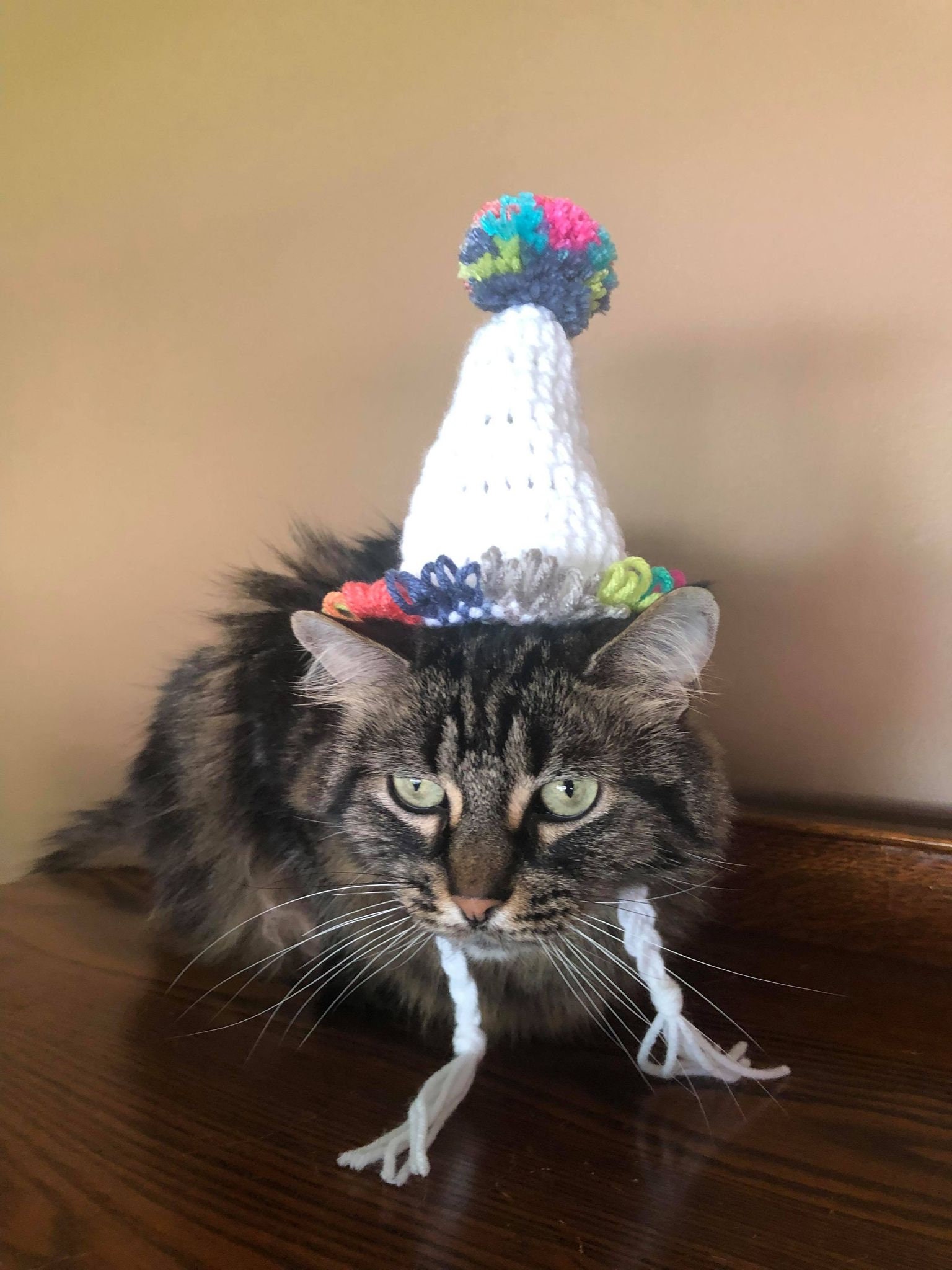 Birthday Hat Happy Birthday Hats for Cats Cat Costumes Pet Etsy