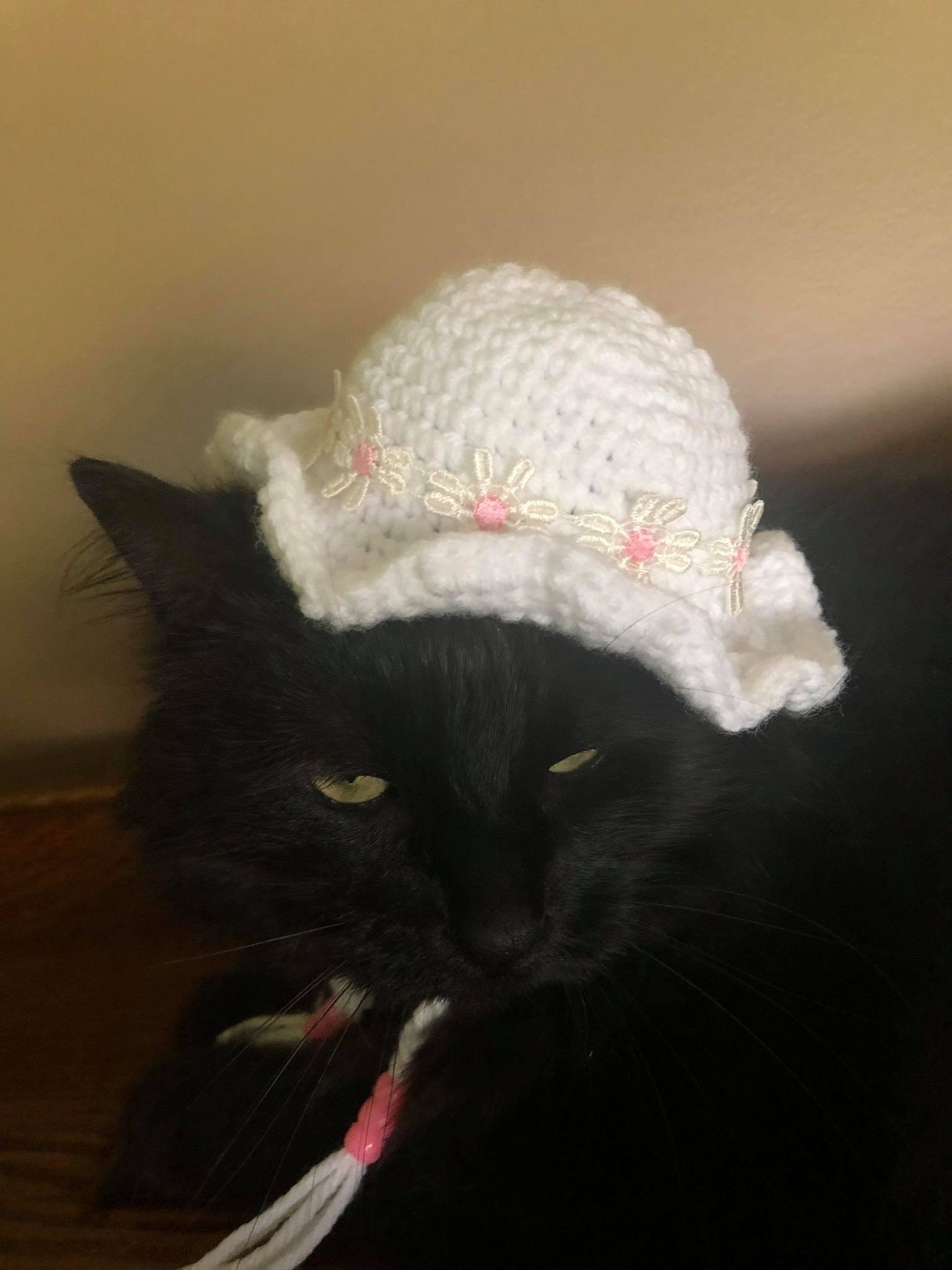 Sun Summer Hat Hats for Cats Cat Costumes Pet Etsy