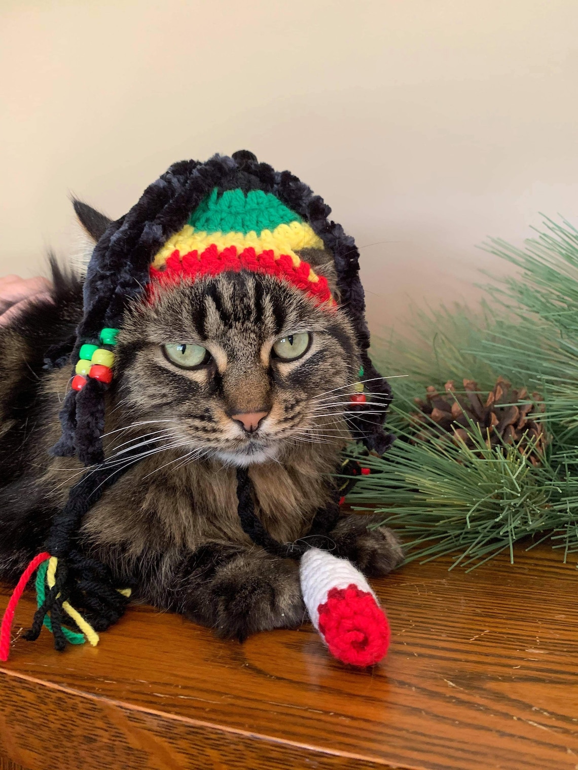 Rasta hat Rastafarian Jamaican Hats for Cats Cat Costumes Etsy
