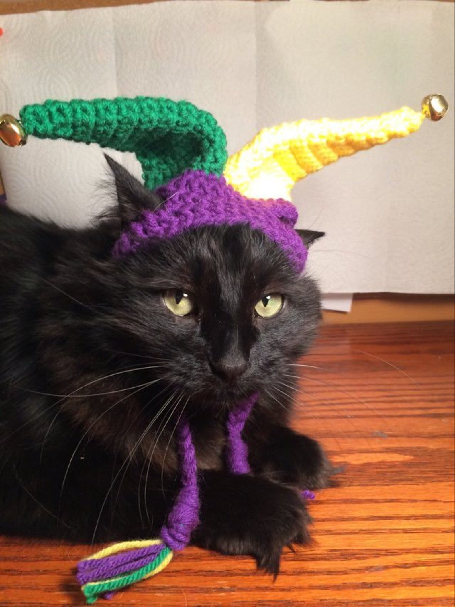 Mardi Gras Court Jester Jester Hats for Cats Cat Costumes Etsy UK