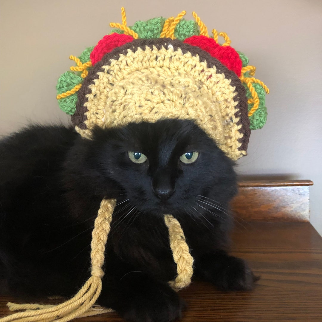 Taco Cat Hat, Cat Hat, Cat Costume, Cat Accessories, Cat Photo Prop