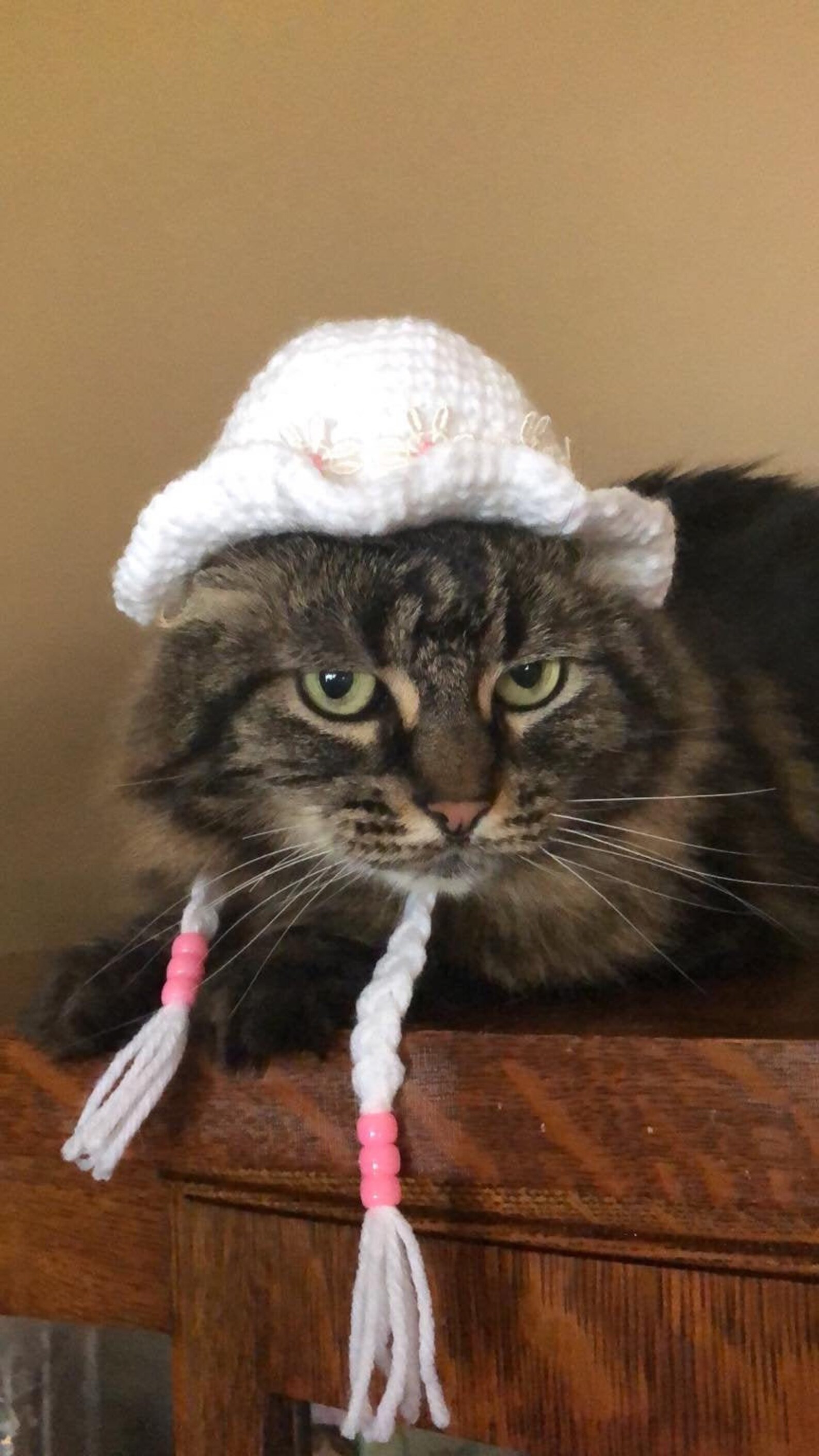 Sun Summer Hat Hats for Cats Cat Costumes Pet Etsy