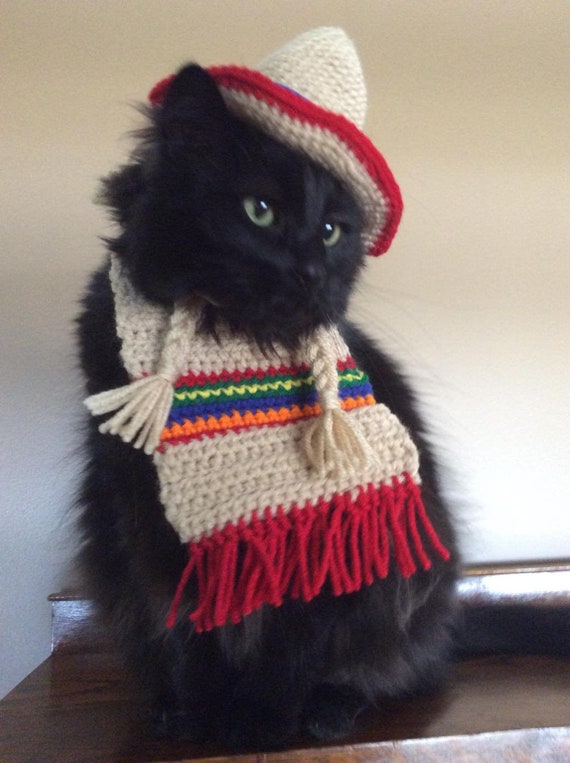 最適な材料 Sombrero, Mayo, De Cinco Poncho, Costumes Cat Cats, for Hats Clothing