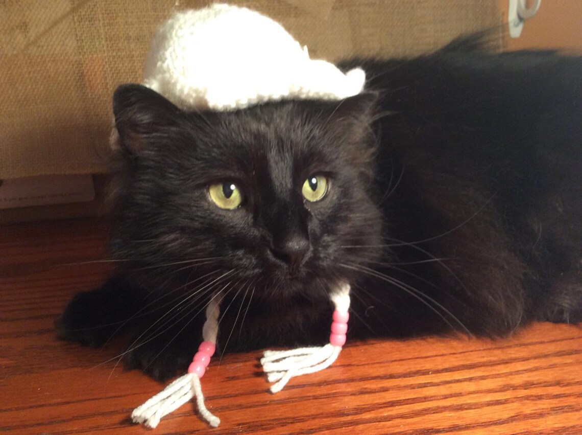 Sun Summer Hat Hats for Cats Cat Costumes Pet Etsy