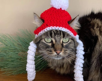Christmas, Holiday, Hats for Cats, Cat Costumes, Pet Costumes, Cat Hat, Cat Accessories, Cats,  Cat Photo Prop, Crochetedd Hat